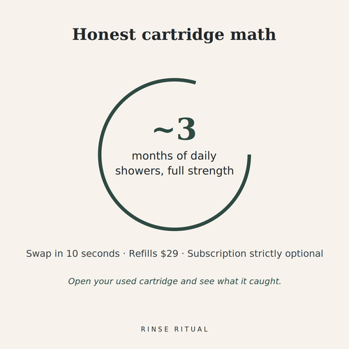 Rinse Ritual replacement filter cartridge — about 3 months of daily showers, $29